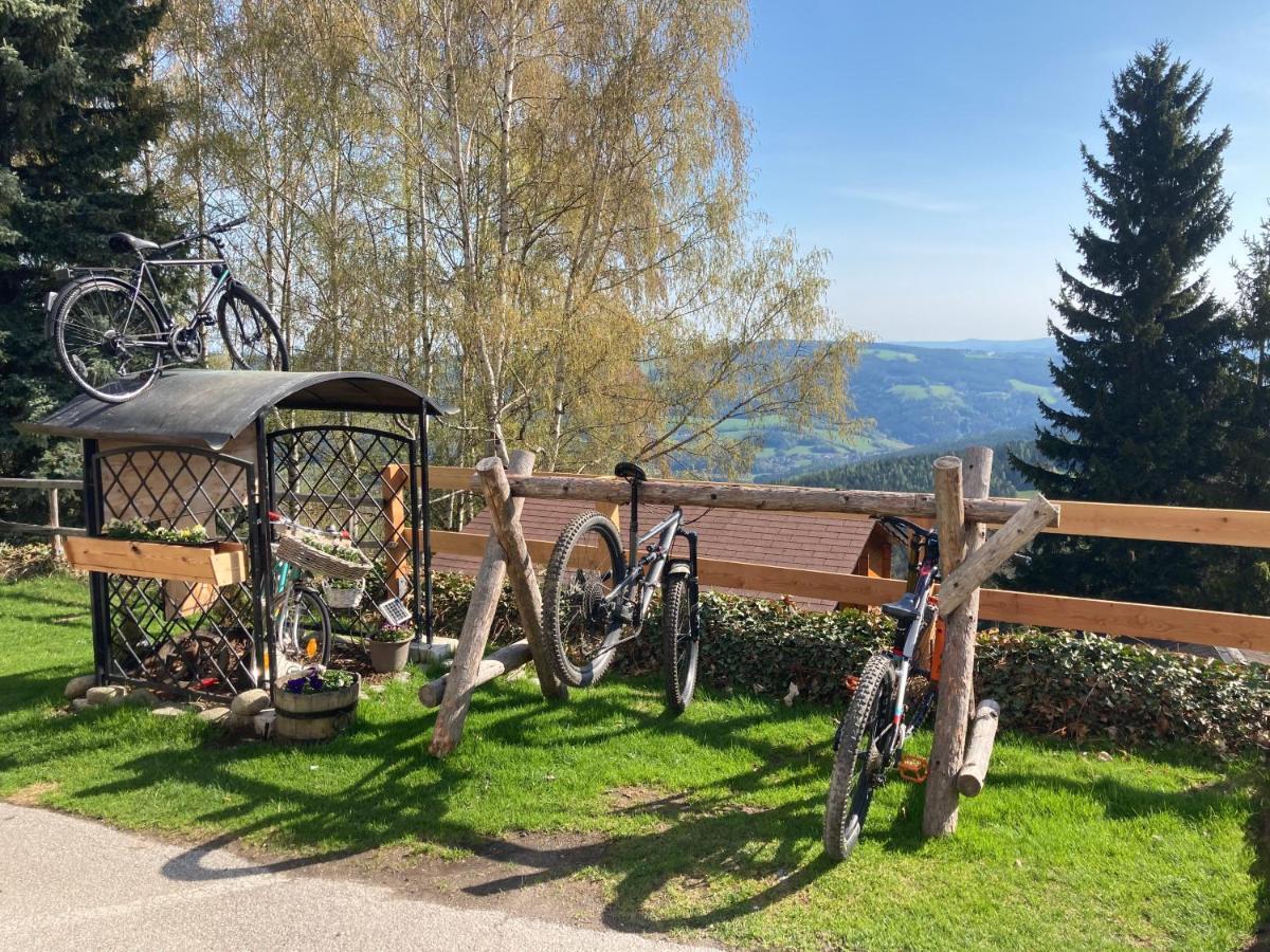 Weixl Schi&Bike Appartements-Bike In&Bike Out Neben Wexl Trails Bikepark Санкт Корона ам Вексел Екстериор снимка