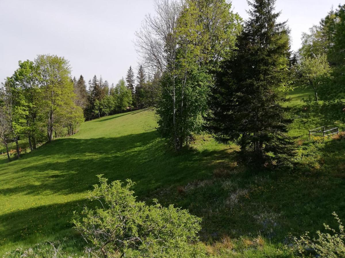 Weixl Schi&Bike Appartements-Bike In&Bike Out Neben Wexl Trails Bikepark Санкт Корона ам Вексел Екстериор снимка